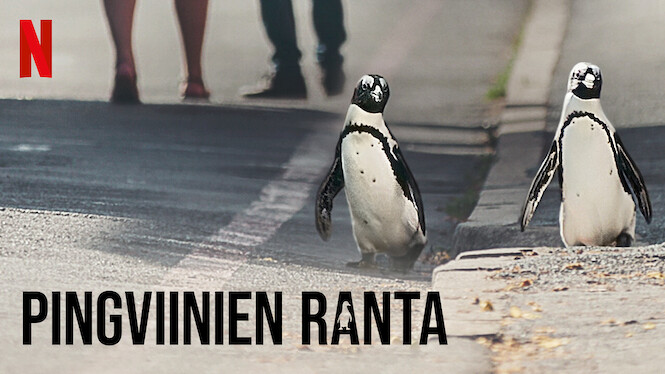 Pingviinien ranta