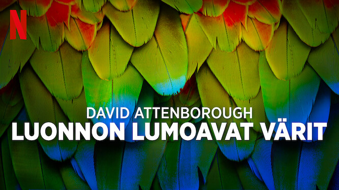 David Attenborough: Luonnon lumoavat värit